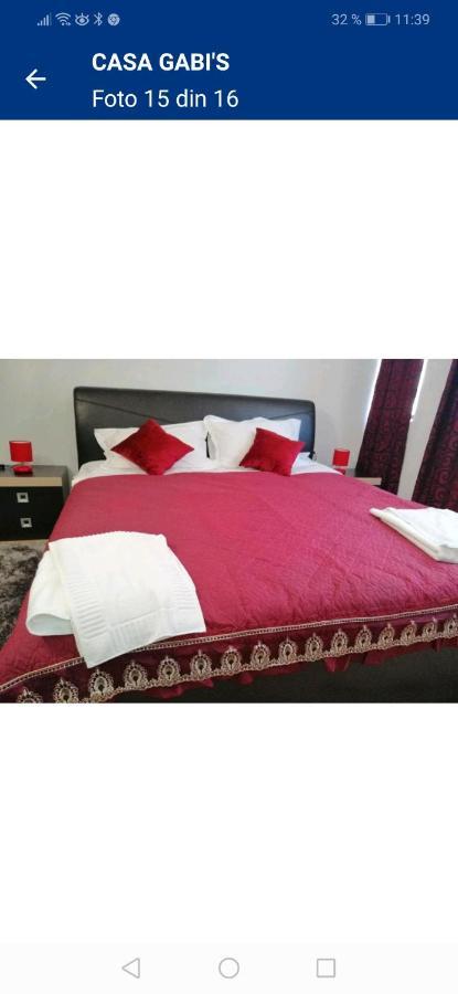 فندق Casa Gabi'S Orşova المظهر الخارجي الصورة